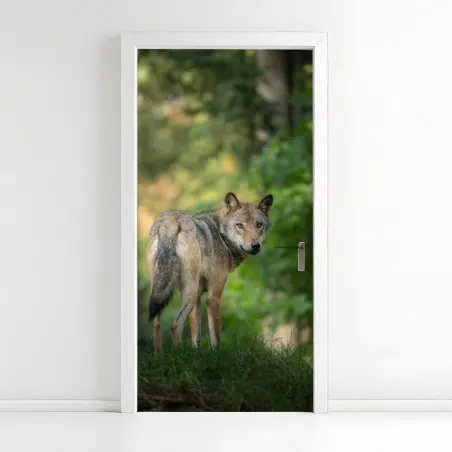 Sticker pour porte portrait de loup dans une clairière boisée – Wallnifity®