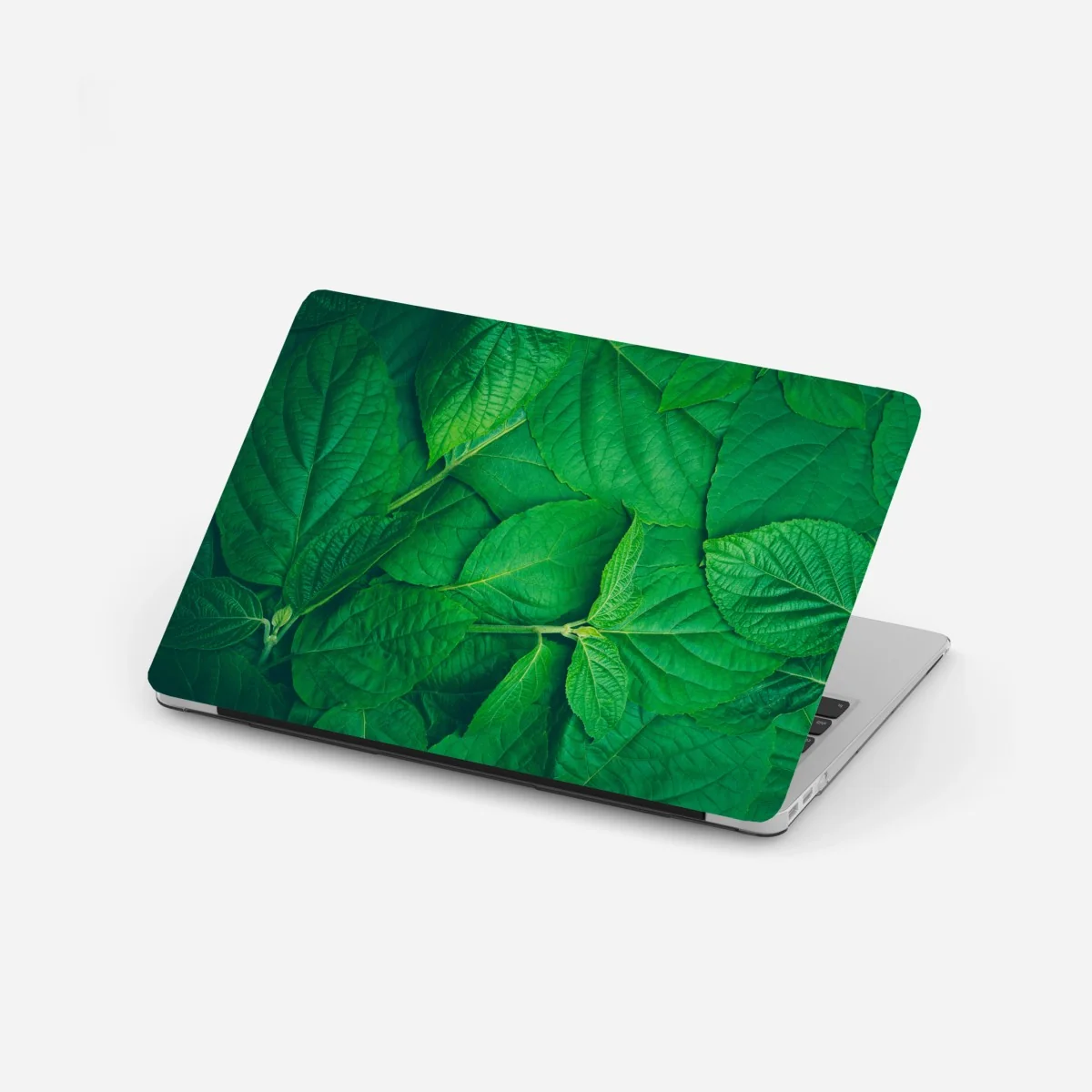 Sticker pour ordinateur portable feuillage vert luxuriant – Wallnifity® Sticker pour ordinateur portable feuillage vert luxuriant – Wallnifity®