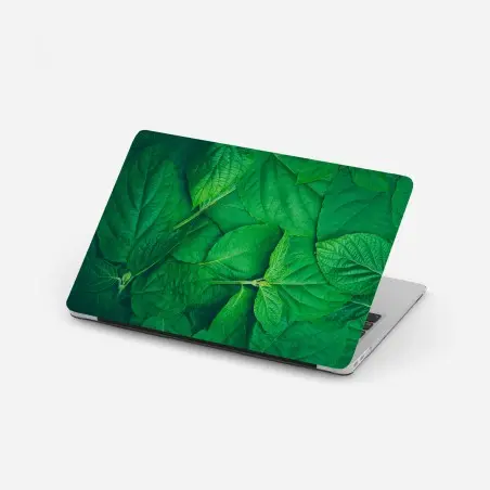 Sticker pour ordinateur portable feuillage vert luxuriant – Wallnifity®