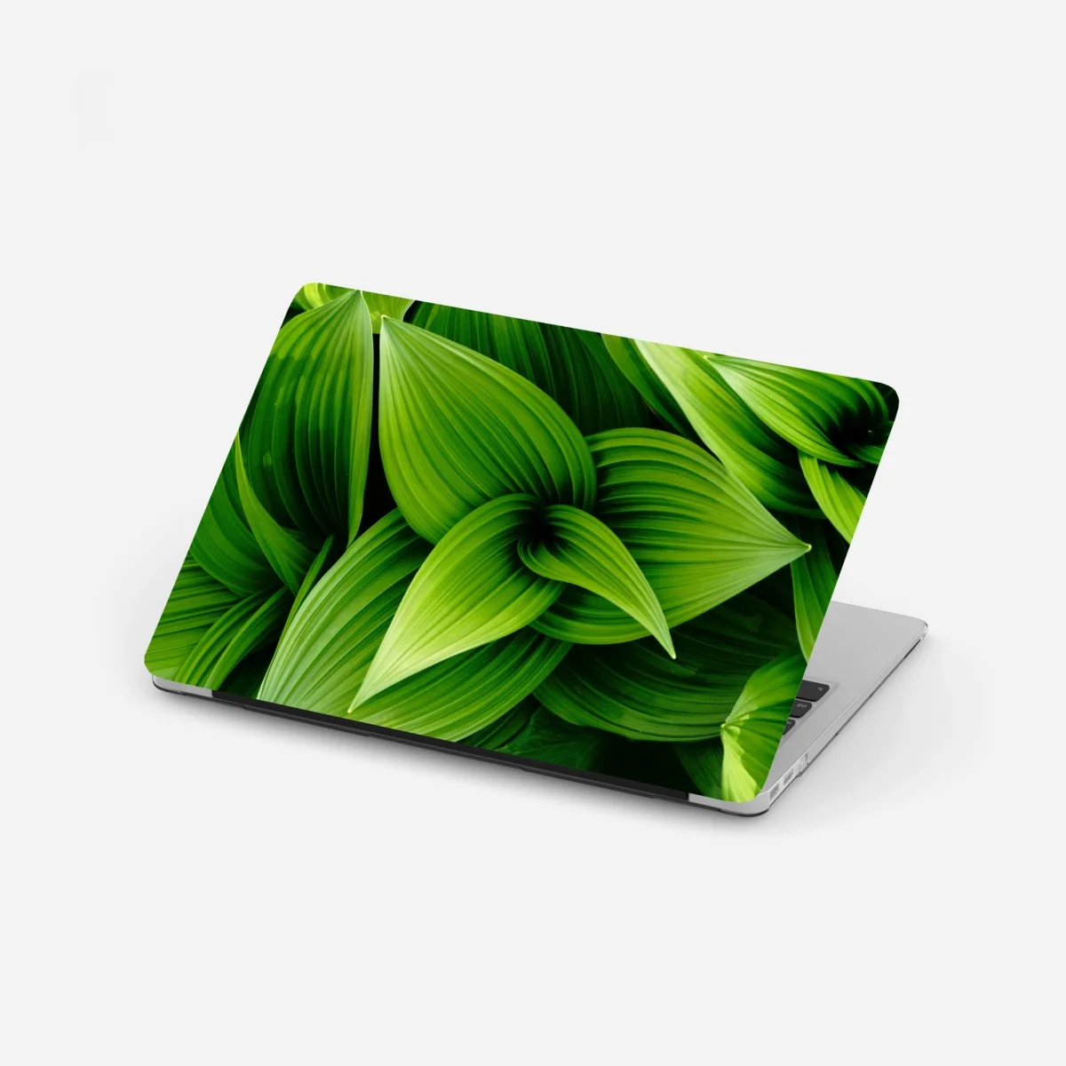 Sticker pour ordinateur portable feuillage vert luxuriant pour décoration murale – Wallnifity® Sticker pour ordinateur portable feuillage vert luxuriant pour décoration murale – Wallnifity®