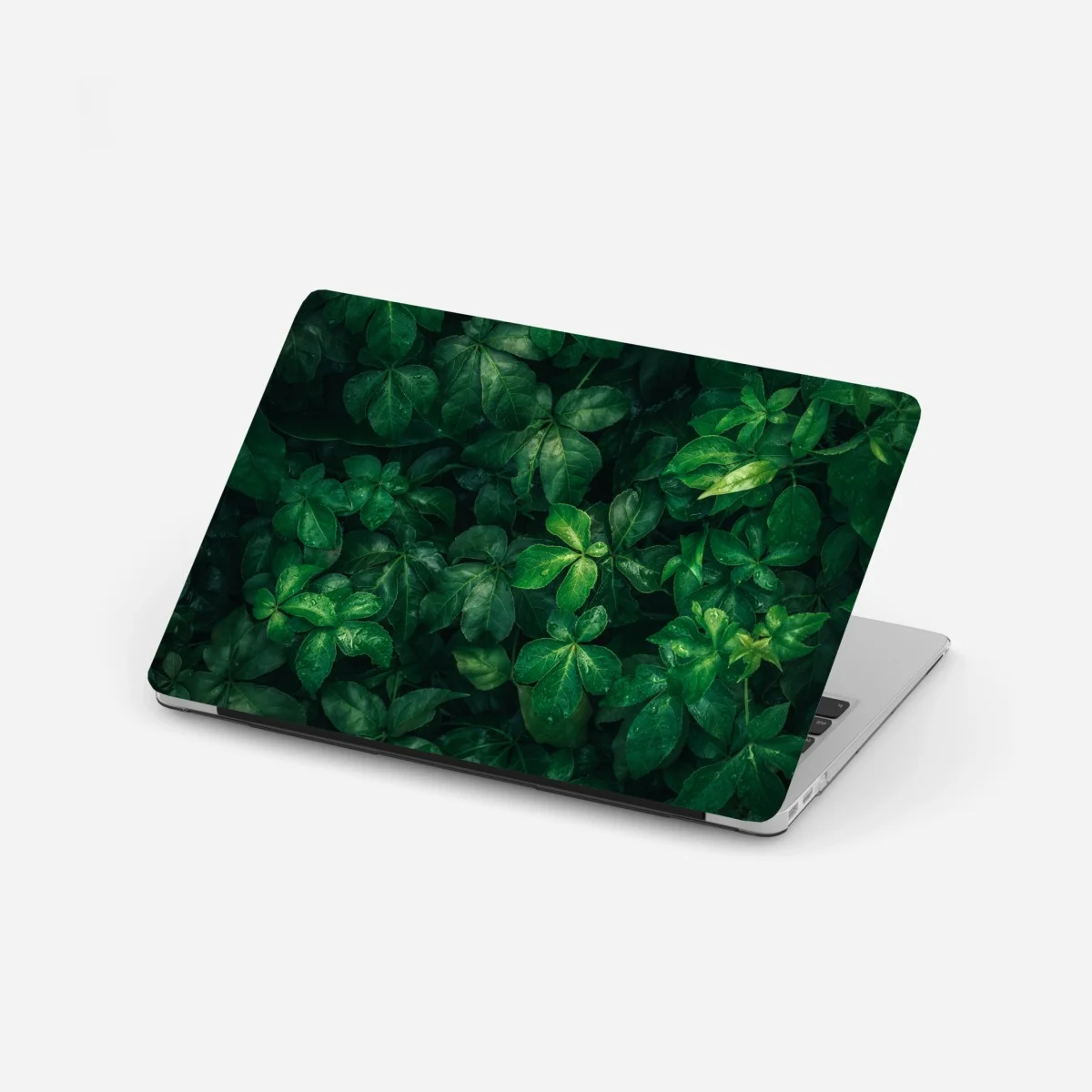 Sticker pour ordinateur portable canopée verte luxuriante – Wallnifity® Sticker pour ordinateur portable canopée verte luxuriante – Wallnifity®