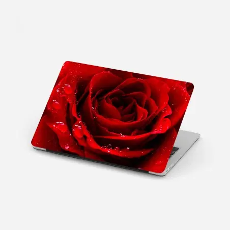 Sticker pour ordinateur portable rose rouge en gouttes de rosée – Wallnifity®