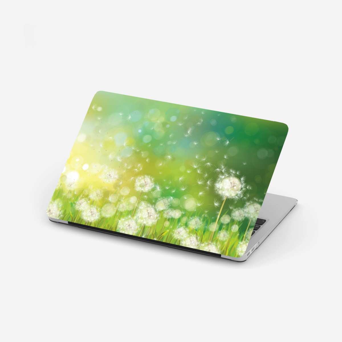 Sticker pour ordinateur portable rêverie de pissenlits printaniers – Wallnifity®