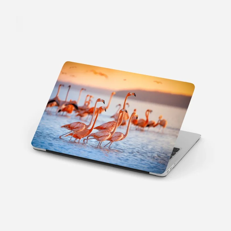 Stickers pour ordinateur portable – Wallnifity®