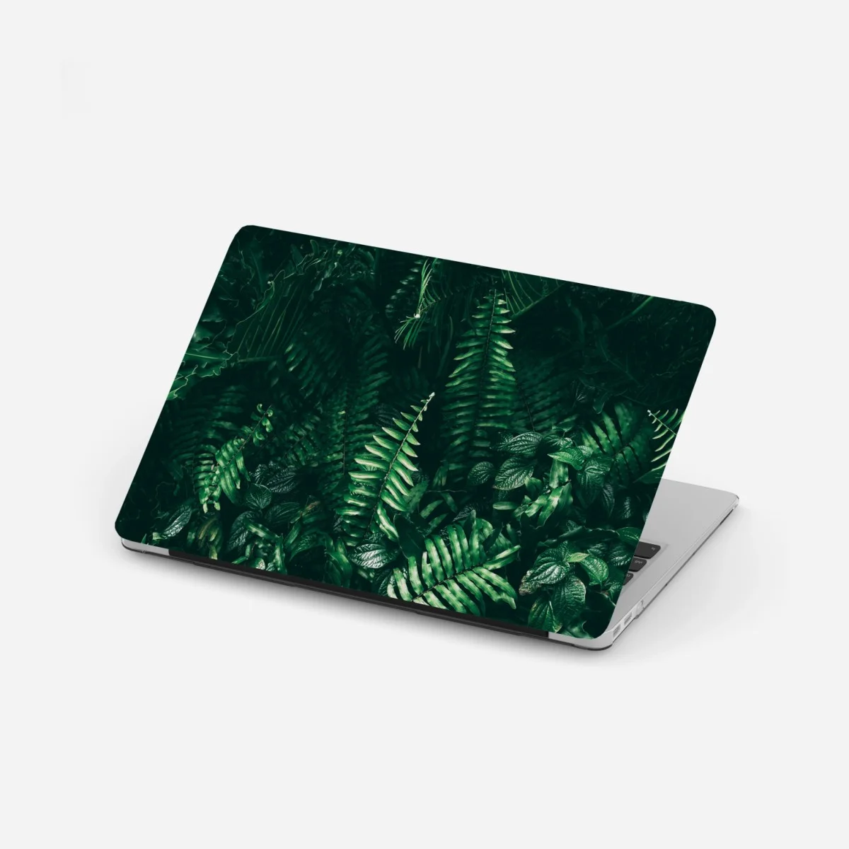 Sticker pour ordinateur portable mur de feuillage tropical sombre – Wallnifity® Sticker pour ordinateur portable mur de feuillage tropical sombre – Wallnifity®