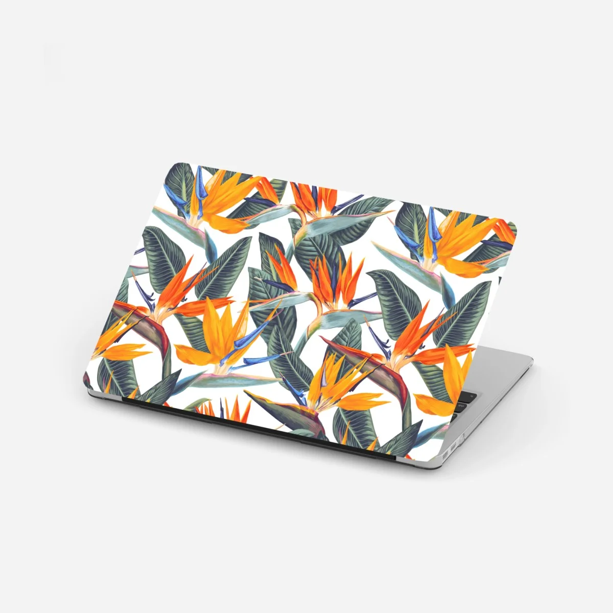 Sticker pour ordinateur portable motif oiseau de paradis aux couleurs vives – Wallnifity® Sticker pour ordinateur portable motif oiseau de paradis aux couleurs vives – Wallnifity®