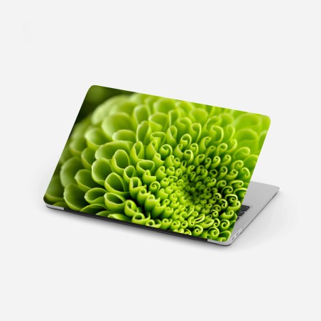 Sticker pour ordinateur portable spirale florale verte en gros plan – Wallnifity®