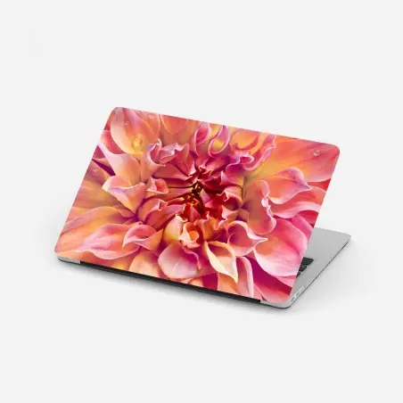 Sticker pour ordinateur portable éclat floral rose et pêche – Wallnifity®