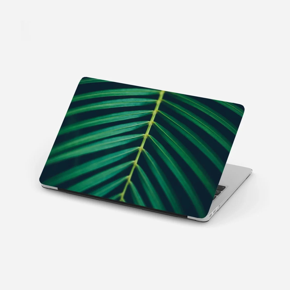 Sticker pour ordinateur portable feuille de palmier en composition verticale – Wallnifity® Sticker pour ordinateur portable feuille de palmier en composition verticale – Wallnifity®