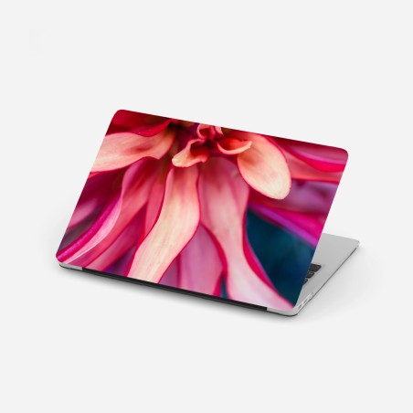 Sticker pour ordinateur portable éclosion corail: composition florale en gros plan – Wallnifity®