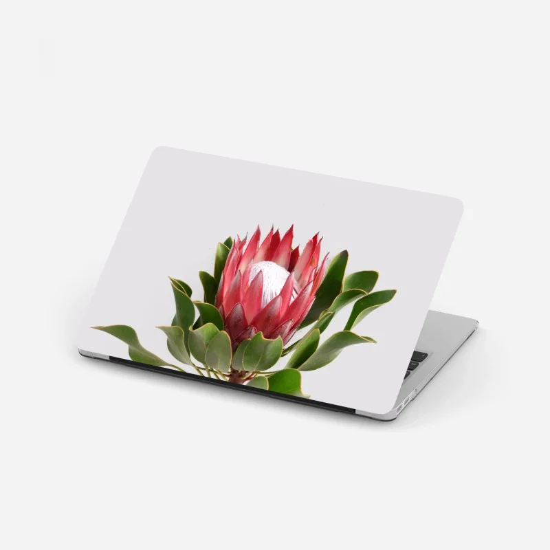 Fleurs – Wallnifity®