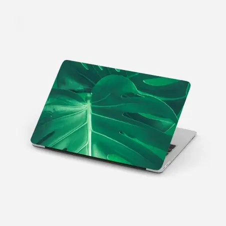 Sticker pour ordinateur portable feuille de monstera verte en gros plan – Wallnifity®