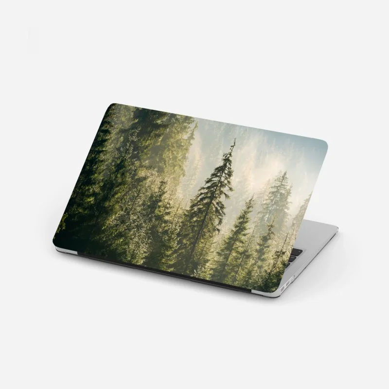 Forêts – Wallnifity®