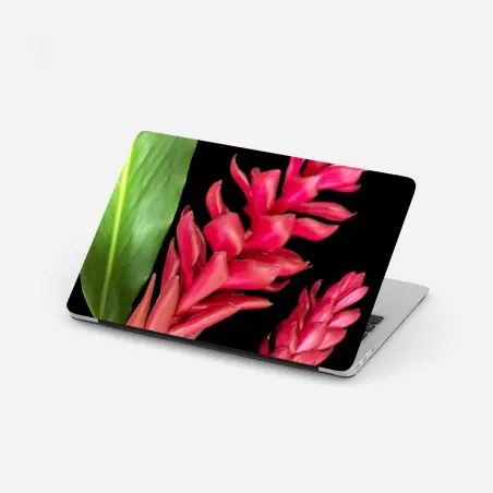 Sticker pour ordinateur portable éclat tropical gingembre torchère rouge sur fond noir – Wallnifity®