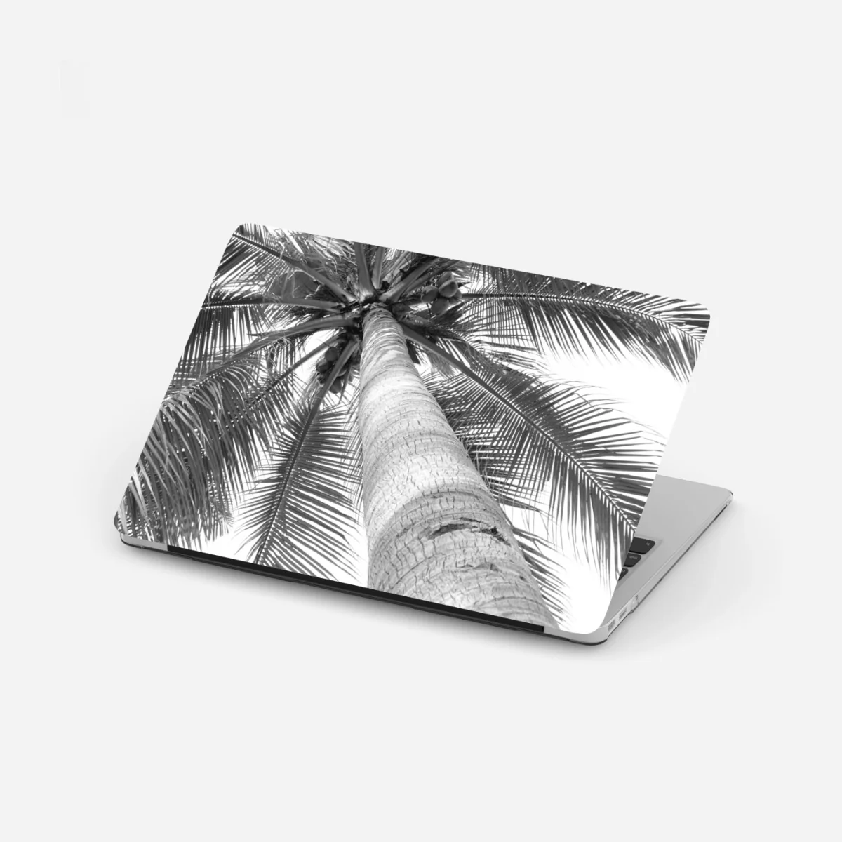 Sticker pour ordinateur portable palmier en contre-plongée monochrome – Wallnifity® Sticker pour ordinateur portable palmier en contre-plongée monochrome – Wallnifity®