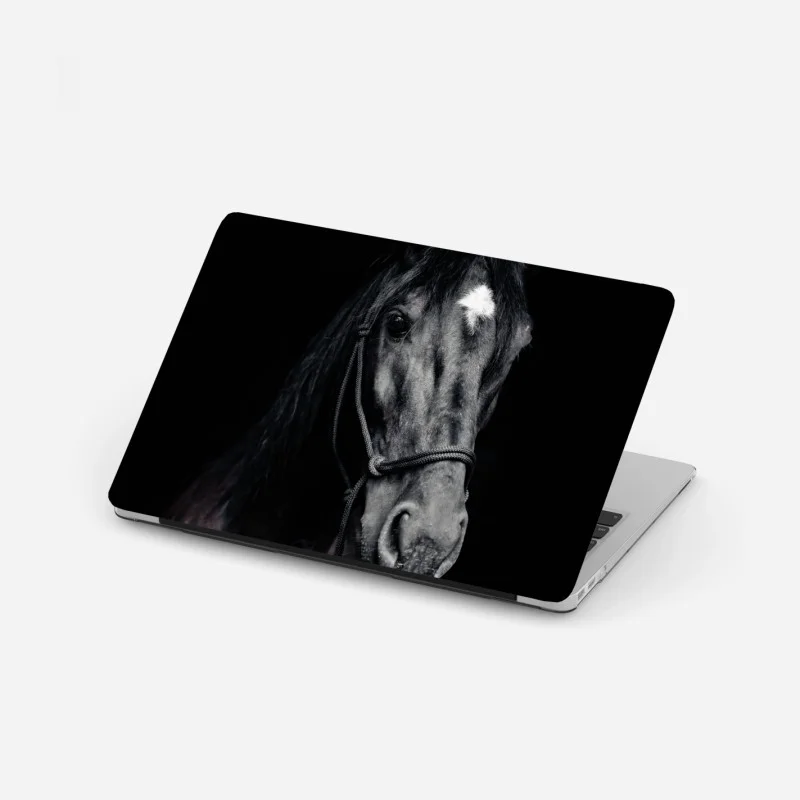 Chevaux – Wallnifity®