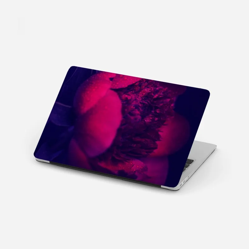Moderne – Wallnifity®
