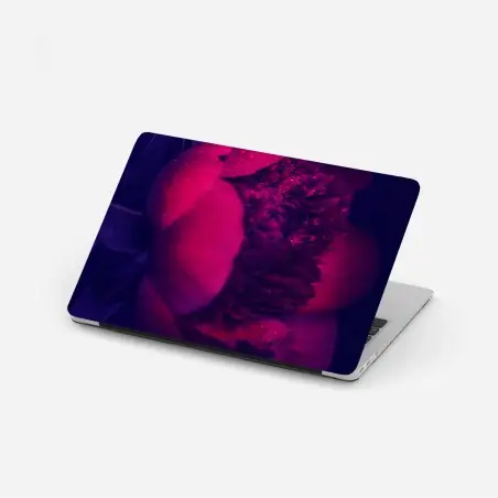 Sticker pour ordinateur portable pivoine fuchsia en gros plan sur fond sombre – Wallnifity®