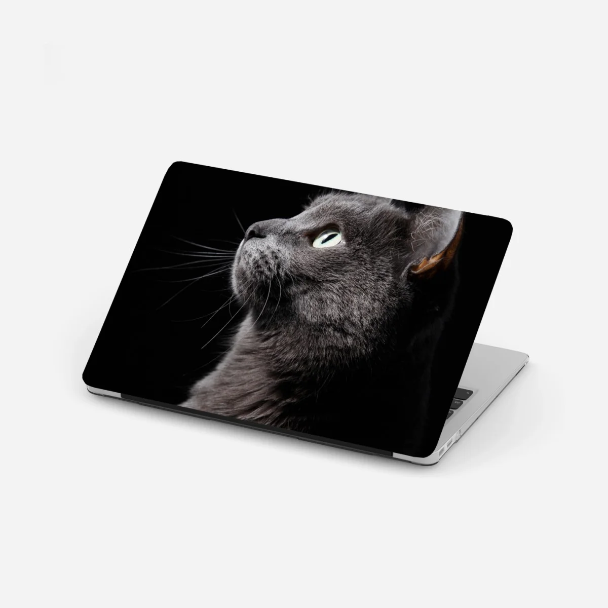 Sticker pour ordinateur portable profil élégant du chat gris aux yeux verts – Wallnifity® Sticker pour ordinateur portable profil élégant du chat gris aux yeux verts – Wallnifity®