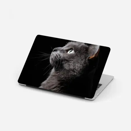 Sticker pour ordinateur portable profil élégant du chat gris aux yeux verts – Wallnifity®