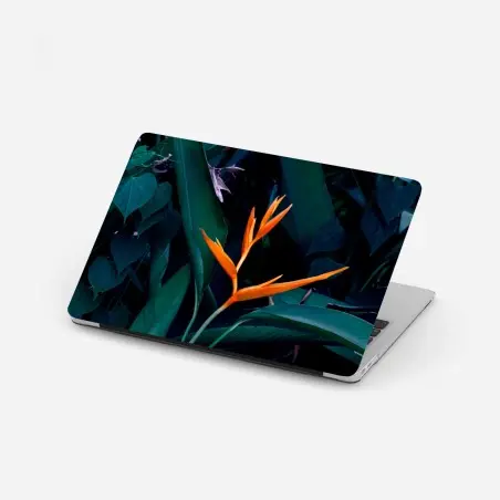 Sticker pour ordinateur portable fleur tropicale orange sur feuillage luxuriant – Wallnifity®