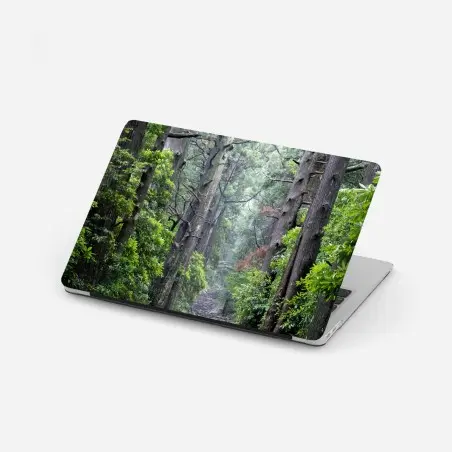 Sticker pour ordinateur portable allée de cèdres et sentier pierreux – Wallnifity®