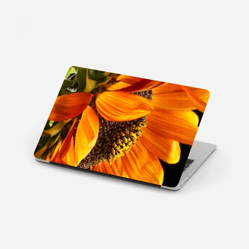 Stickers pour ordinateur portable – Wallnifity®