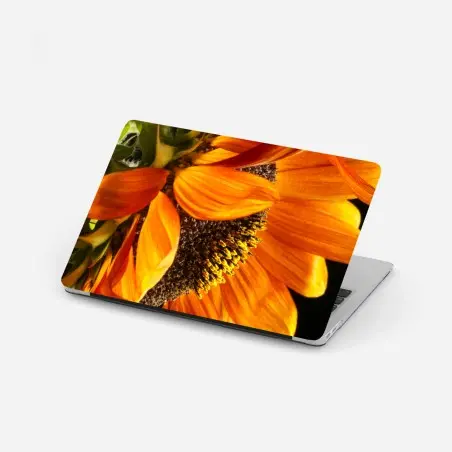 Sticker pour ordinateur portable gros plan de tournesol orange – Wallnifity®