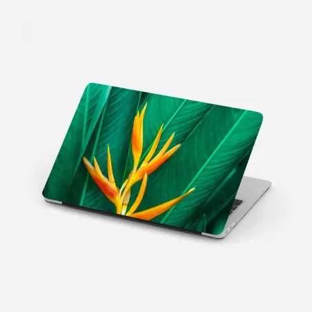 Sticker pour ordinateur portable fleur tropicale orange sur feuillage vert – Wallnifity®