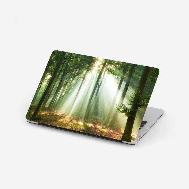 Sticker pour ordinateur portable lumière matinale dans la forêt – Wallnifity®