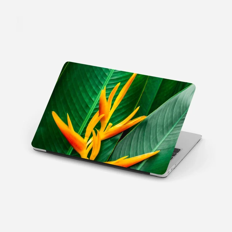 Fleurs et plantes – Wallnifity®