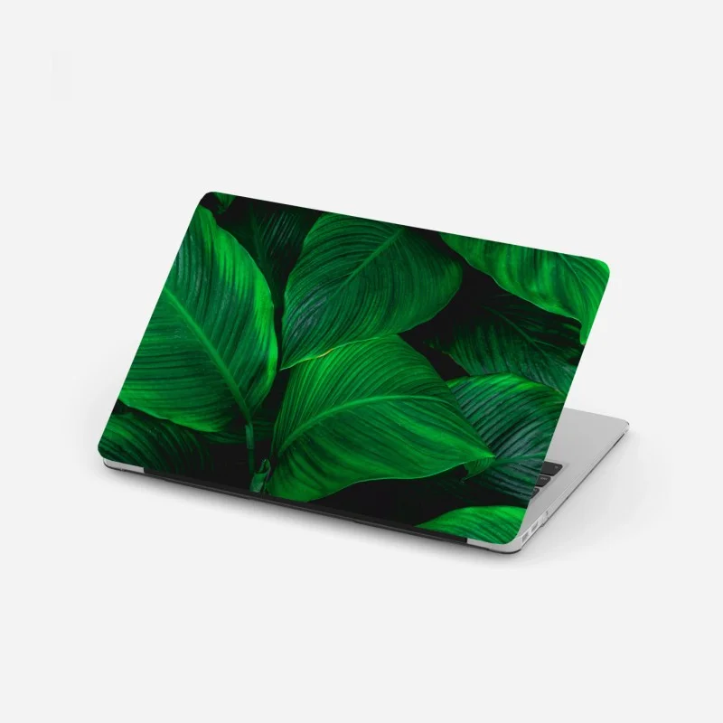 Jungle – Wallnifity®