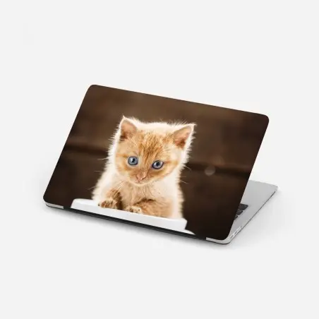 Sticker pour ordinateur portable chaton roux dans une tasse – Wallnifity®