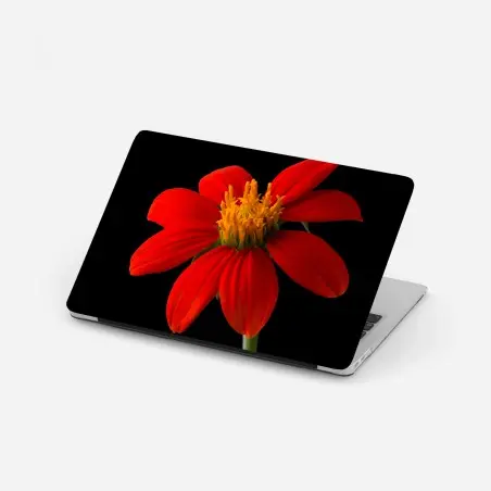 Sticker pour ordinateur portable éclat rouge : fleur tropicale sur fond noir – Wallnifity®