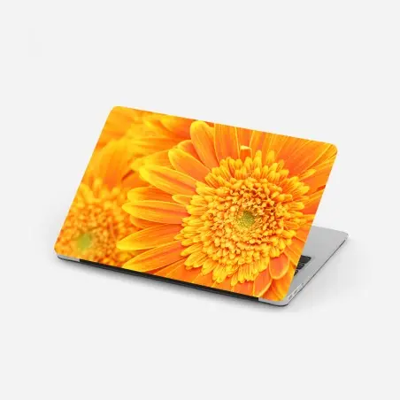 Sticker pour ordinateur portable gros plan gérbera orange éclatant – Wallnifity®