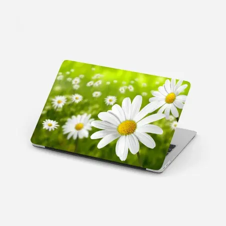 Sticker pour ordinateur portable champ de marguerites ensoleillé – Wallnifity®