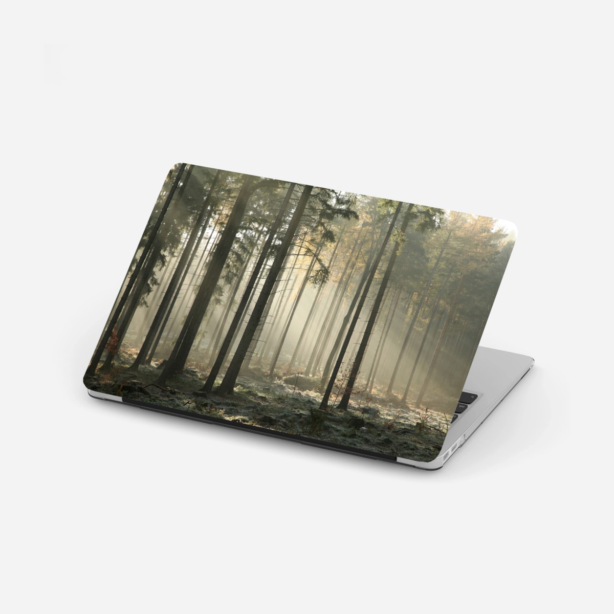 Sticker pour ordinateur portable forêt brumeuse et lumière matinale – Wallnifity®