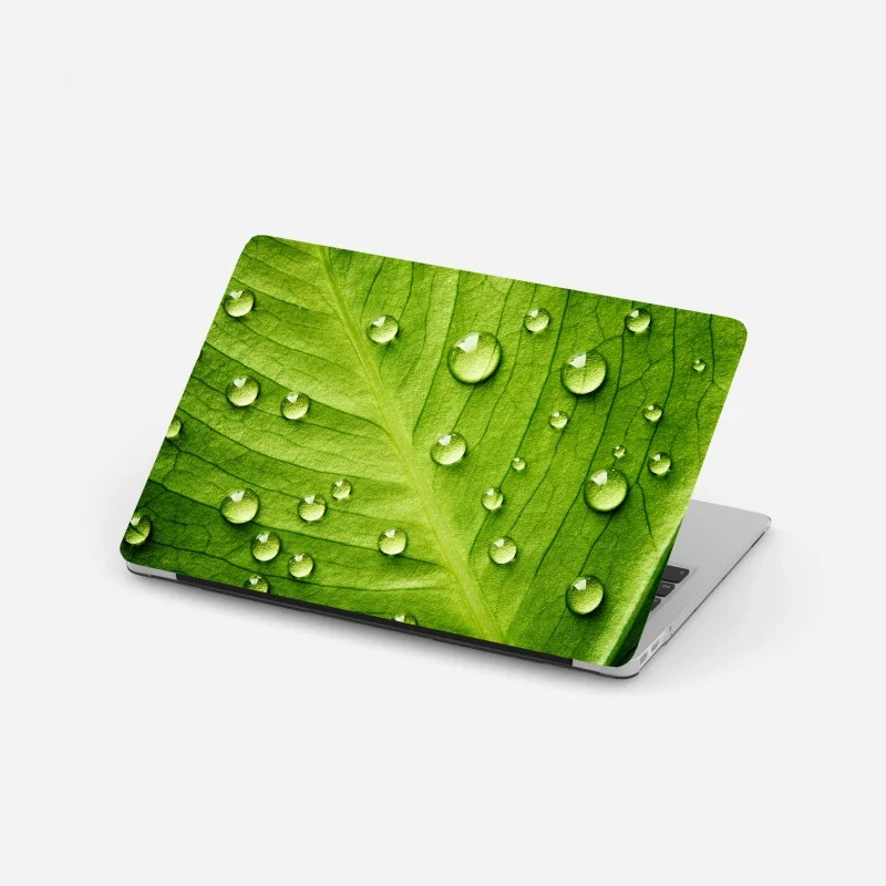 Feuilles – Wallnifity®