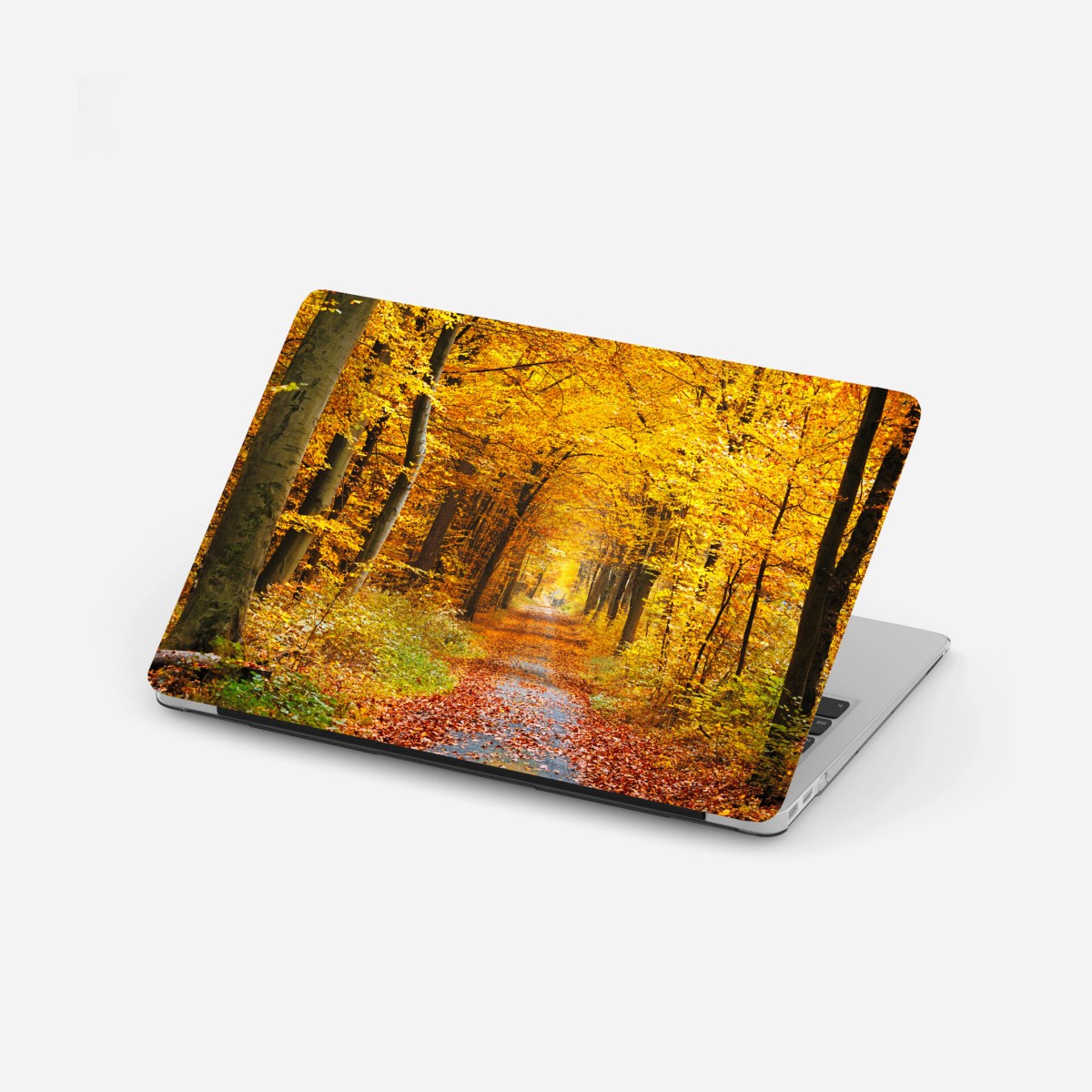 Sticker pour ordinateur portable chemin d'automne en forêt dorée – Wallnifity®