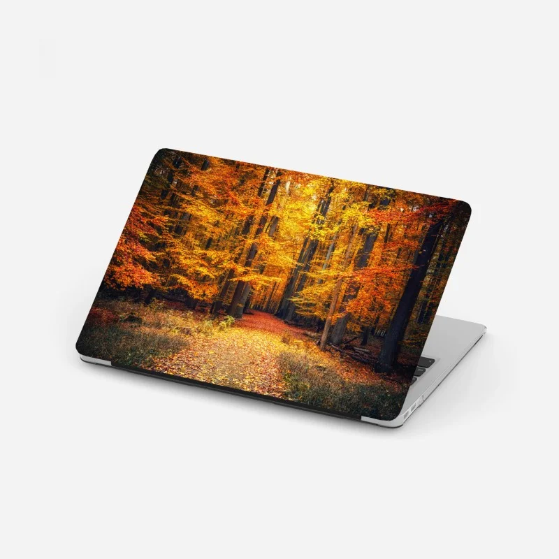 Forêts – Wallnifity®