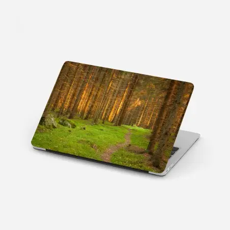 Sticker pour ordinateur portable lumière dorée dans la forêt de sapins – Wallnifity®