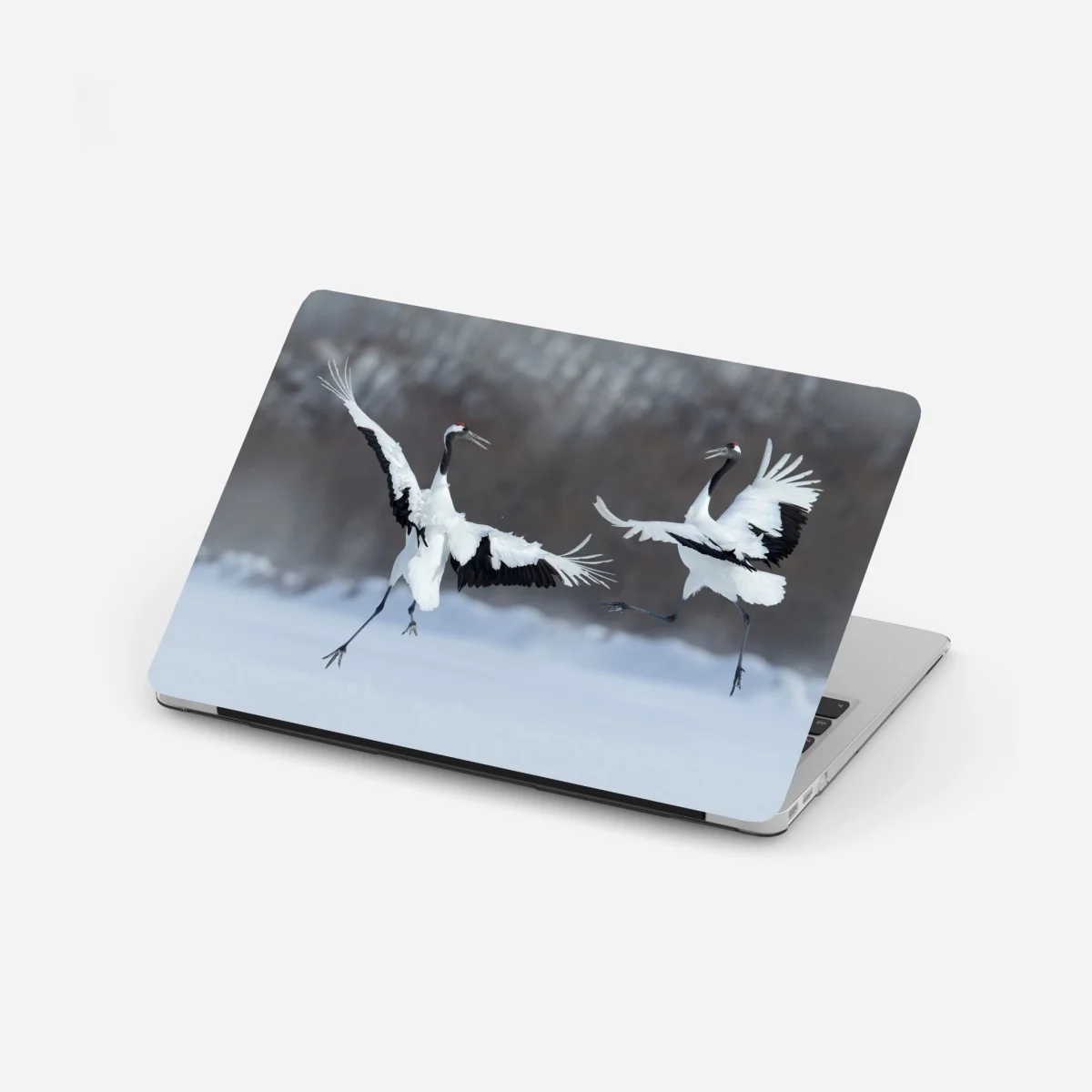 Sticker pour ordinateur portable danse hivernale des grues à couronne rouge de Hokkaido – Wallnifity® Sticker pour ordinateur portable danse hivernale des grues à couronne rouge de Hokkaido – Wallnifity®