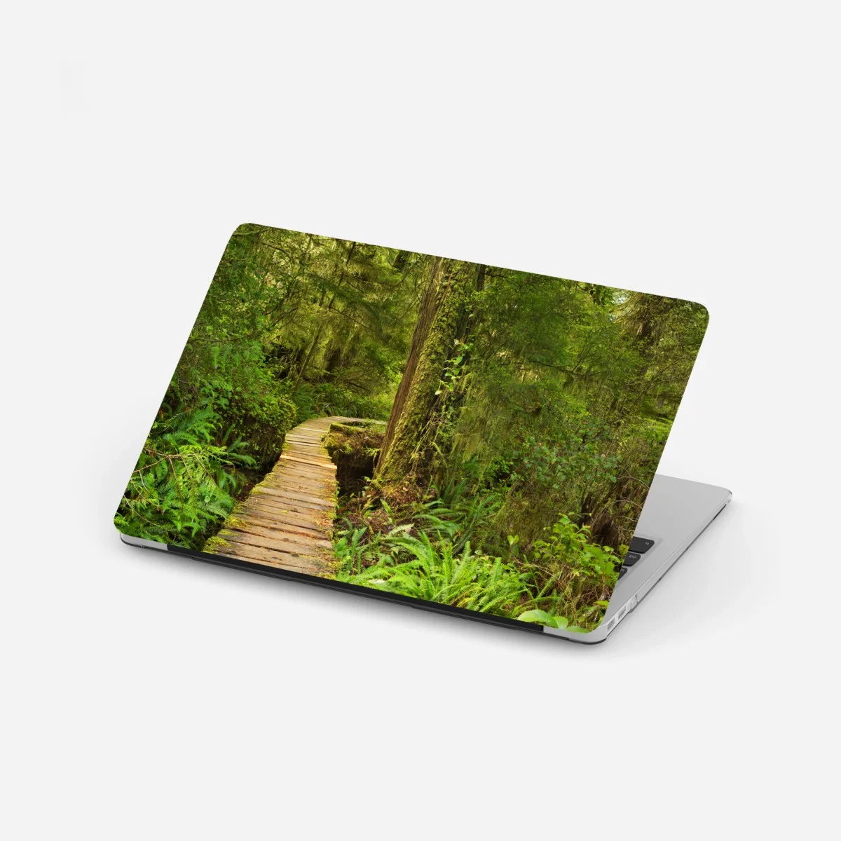 Sticker pour ordinateur portable chemin de planches au cœur de la forêt pluviale de Pacific Rim National Park Reserve, Île de Va – Wallnifity® Sticker pour ordinateur portable chemin de planches au cœur de la forêt pluviale de Pacific Rim National Park Reserve, Île de Va – Wallnifity®