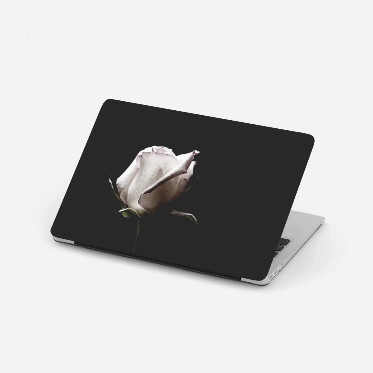 Sticker pour ordinateur portable rose blanche en gros plan sur fond noir – Wallnifity® Sticker pour ordinateur portable rose blanche en gros plan sur fond noir – Wallnifity®