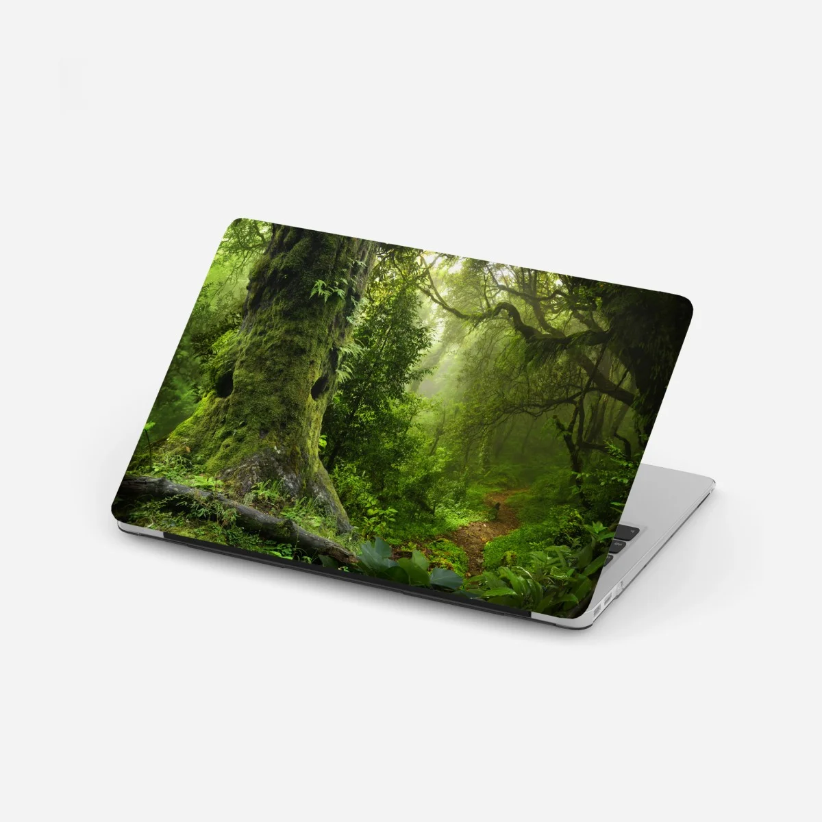 Sticker pour ordinateur portable forêt enchantée au lever de brume – Wallnifity® Sticker pour ordinateur portable forêt enchantée au lever de brume – Wallnifity®