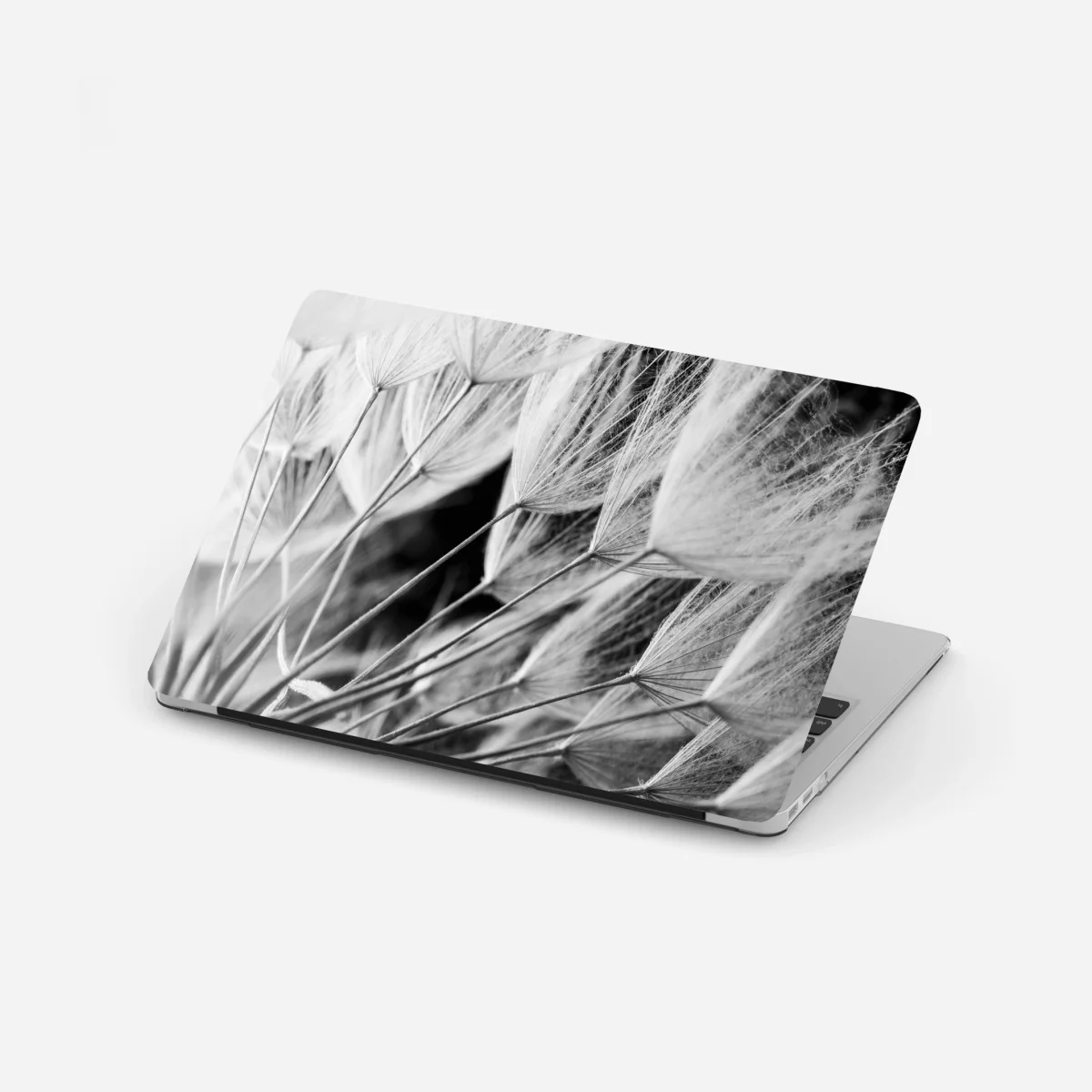 Sticker pour ordinateur portable plumes de pissenlit en noir et blanc – Wallnifity® Sticker pour ordinateur portable plumes de pissenlit en noir et blanc – Wallnifity®