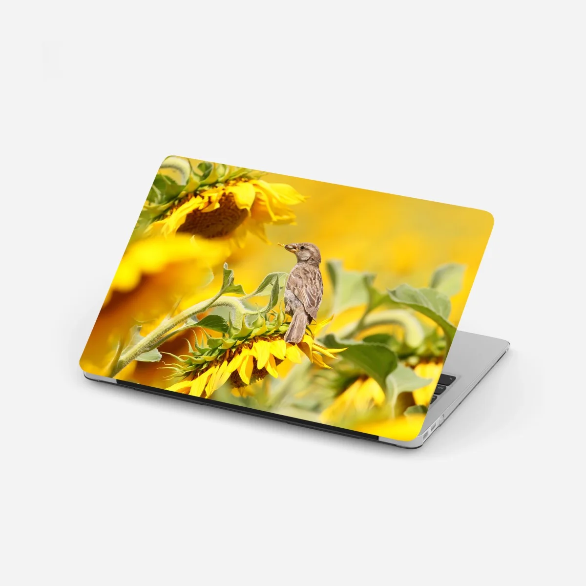 Sticker pour ordinateur portable moineau sur tournesol lumineux – Wallnifity® Sticker pour ordinateur portable moineau sur tournesol lumineux – Wallnifity®