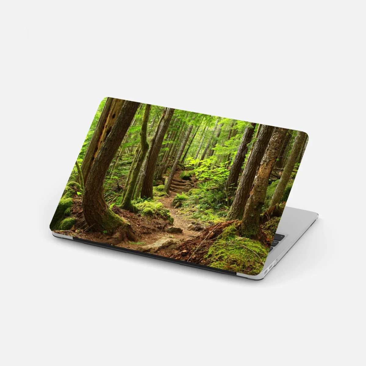 Sticker pour ordinateur portable sentier enchanté en forêt verdoyante – Wallnifity® Sticker pour ordinateur portable sentier enchanté en forêt verdoyante – Wallnifity®