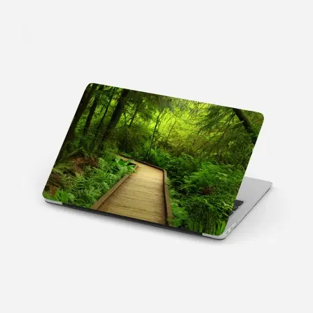 Sticker pour ordinateur portable sentier boisé baigné de verdure – Wallnifity®