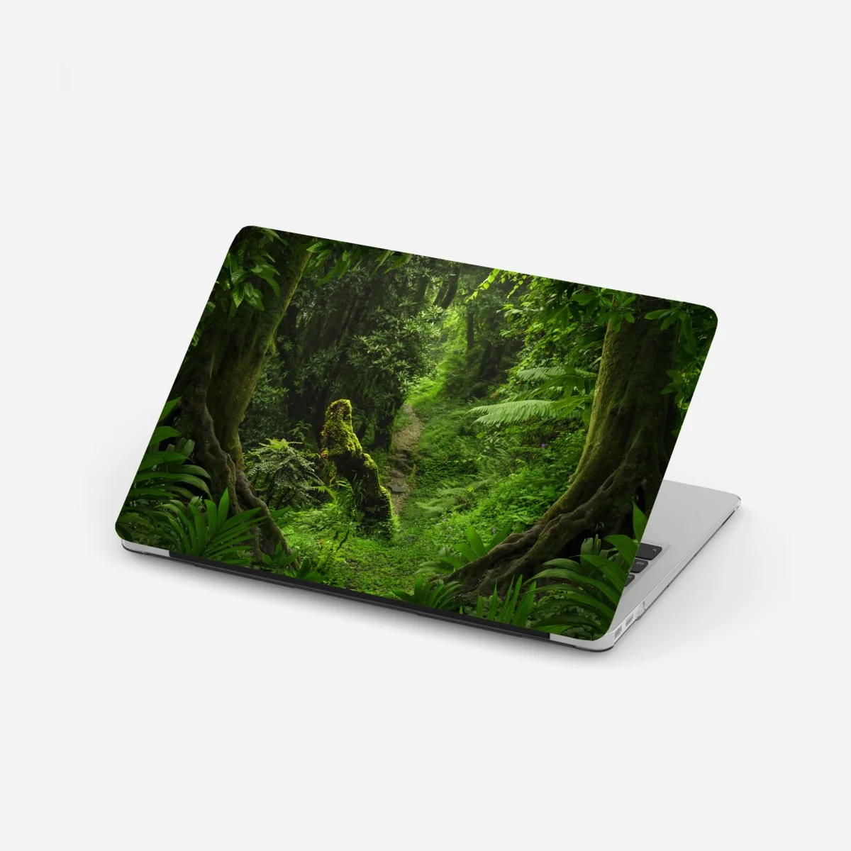 Sticker pour ordinateur portable sentier moussu dans une forêt luxuriante – Wallnifity® Sticker pour ordinateur portable sentier moussu dans une forêt luxuriante – Wallnifity®